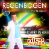 Techno-Buben Feat. Nico Gemba - Regenbogen Fox House Version